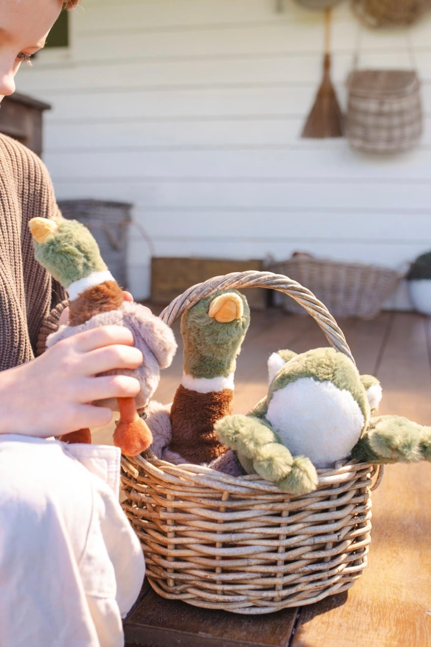 Nana Huchy Hugo the Mallard Duck