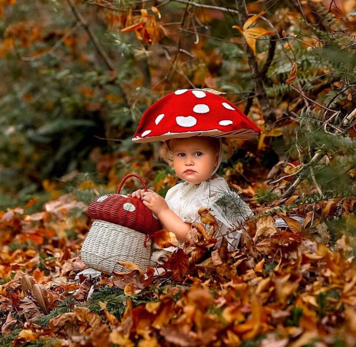 Olli Ella Rattan Mushroom Basket Red