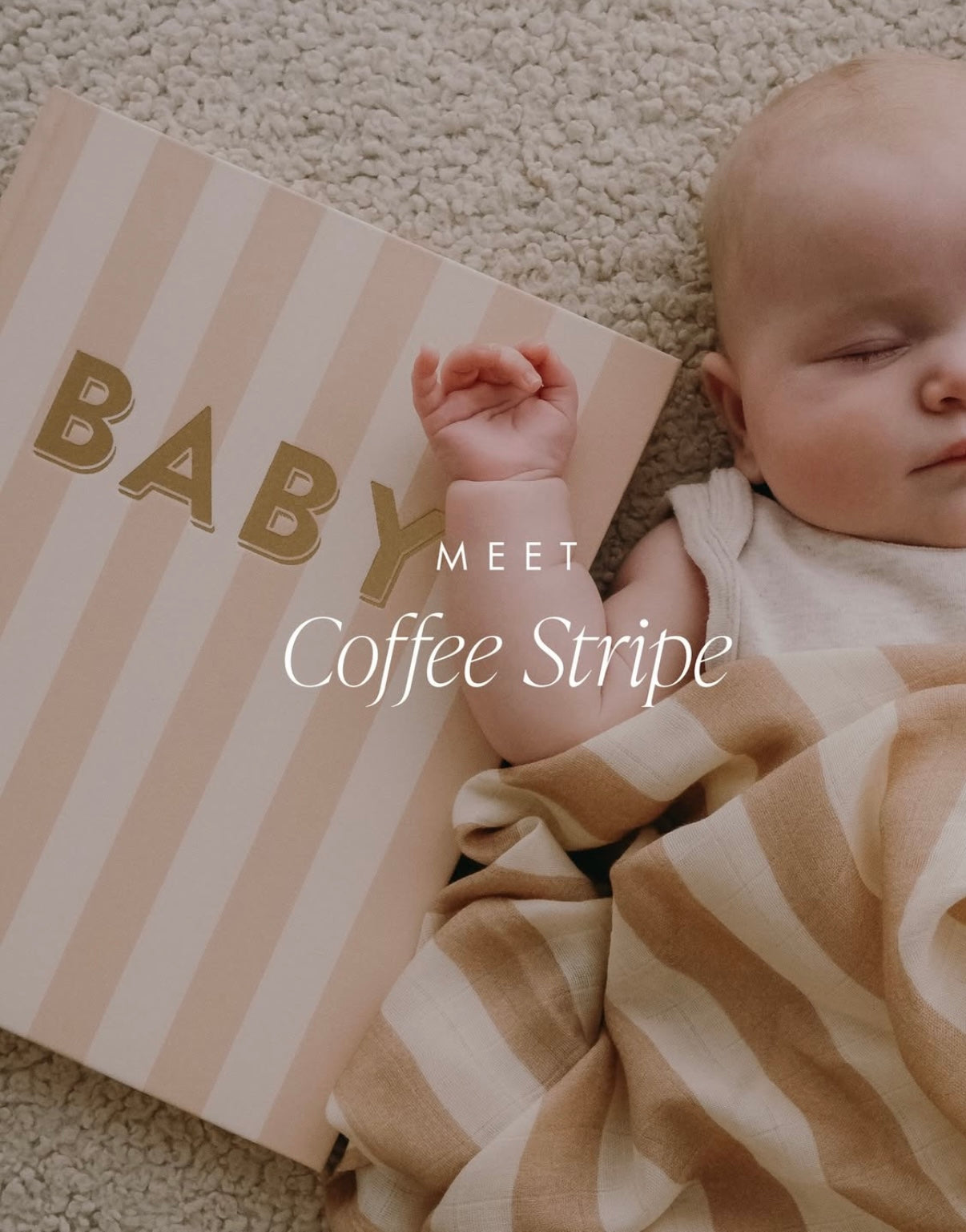 Fox & Follow Baby Book Coffee Stripe