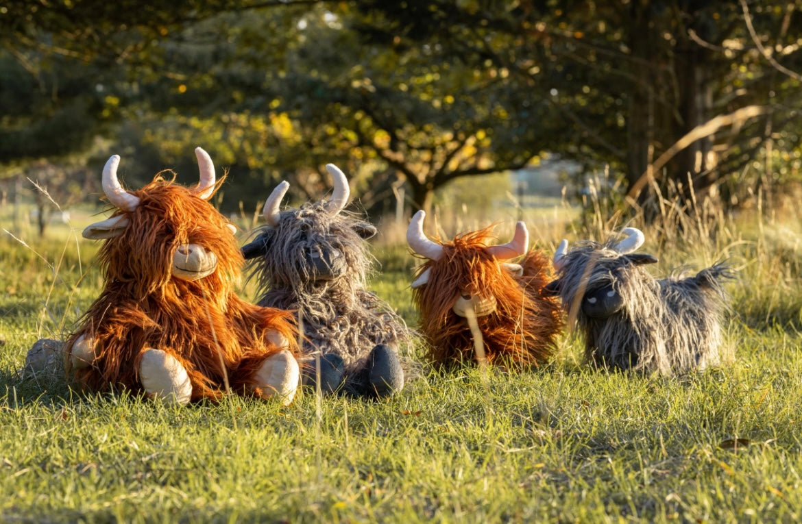Nana Huchy Heidi the Highland Cow Charcoal