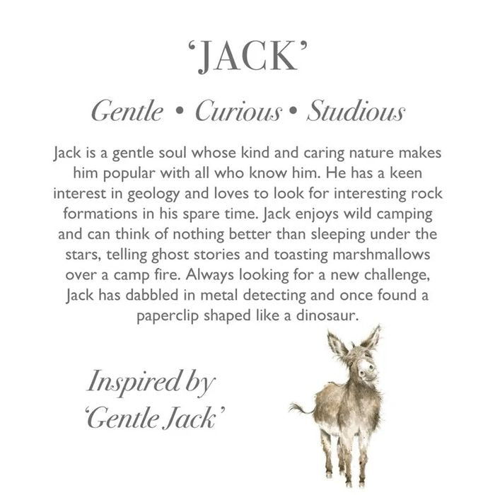 Wrendale Designs Jack the Donkey