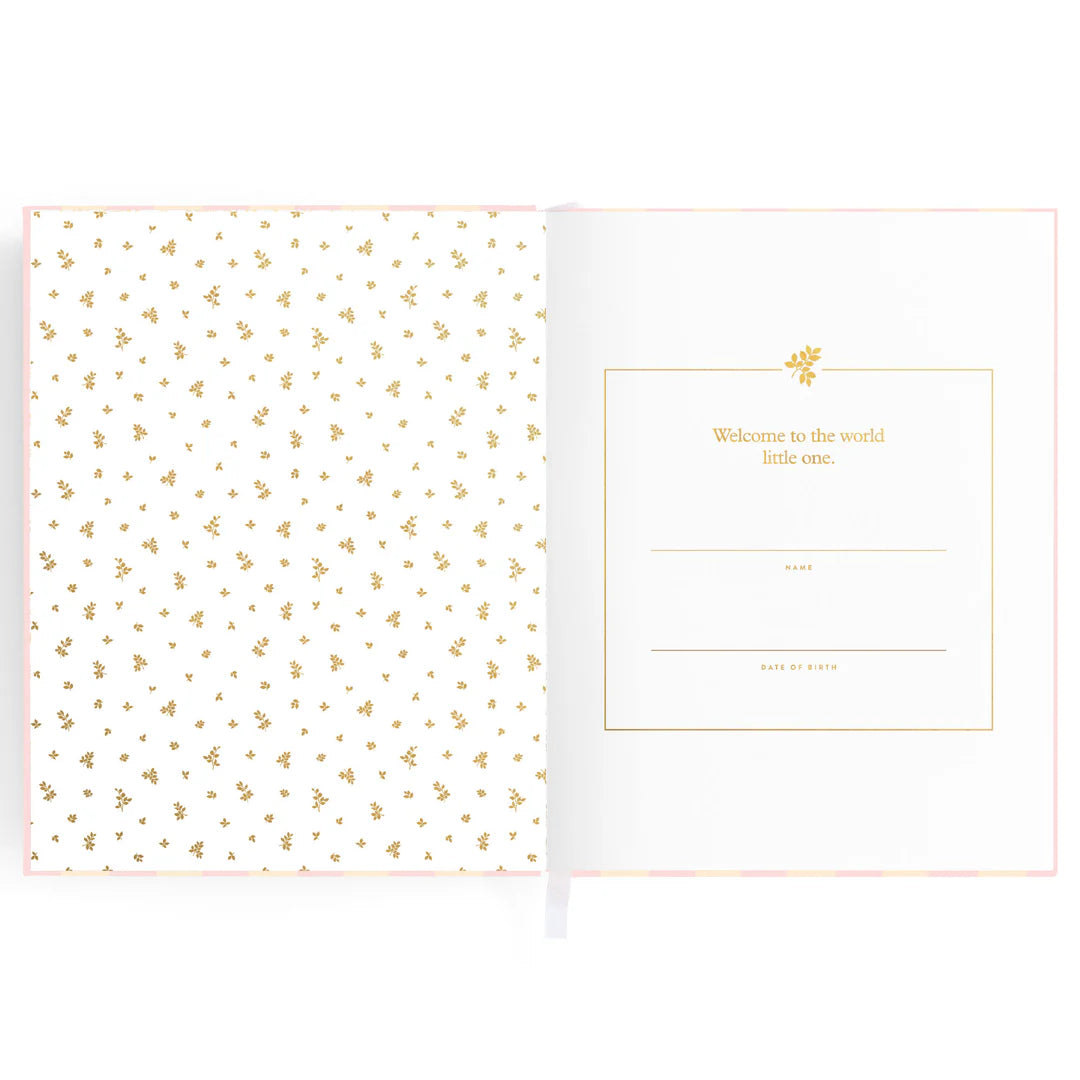 Fox & Follow Baby Book Coffee Stripe