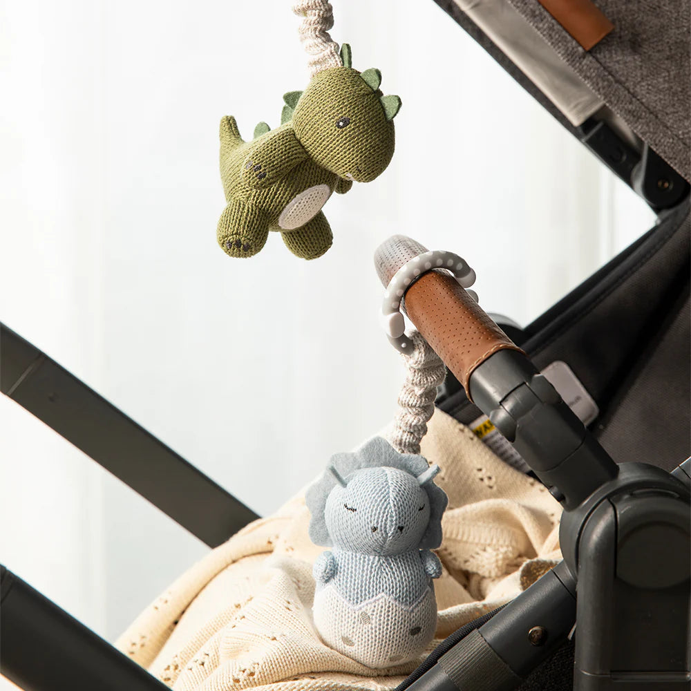 Living Textiles 2pk Stroller Toys Dinosaurs