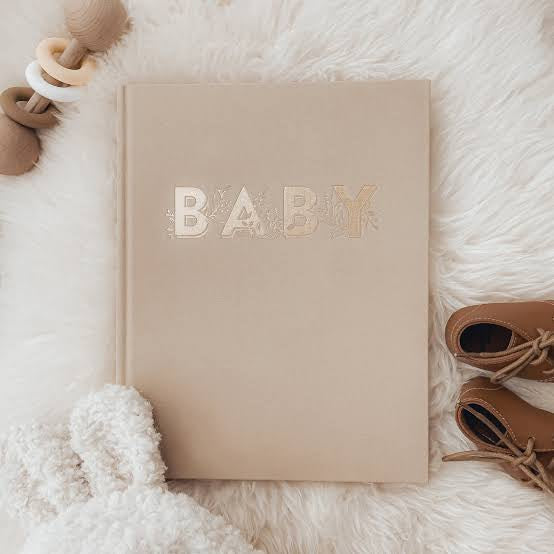 Fox & Follow Baby Book Biscuit