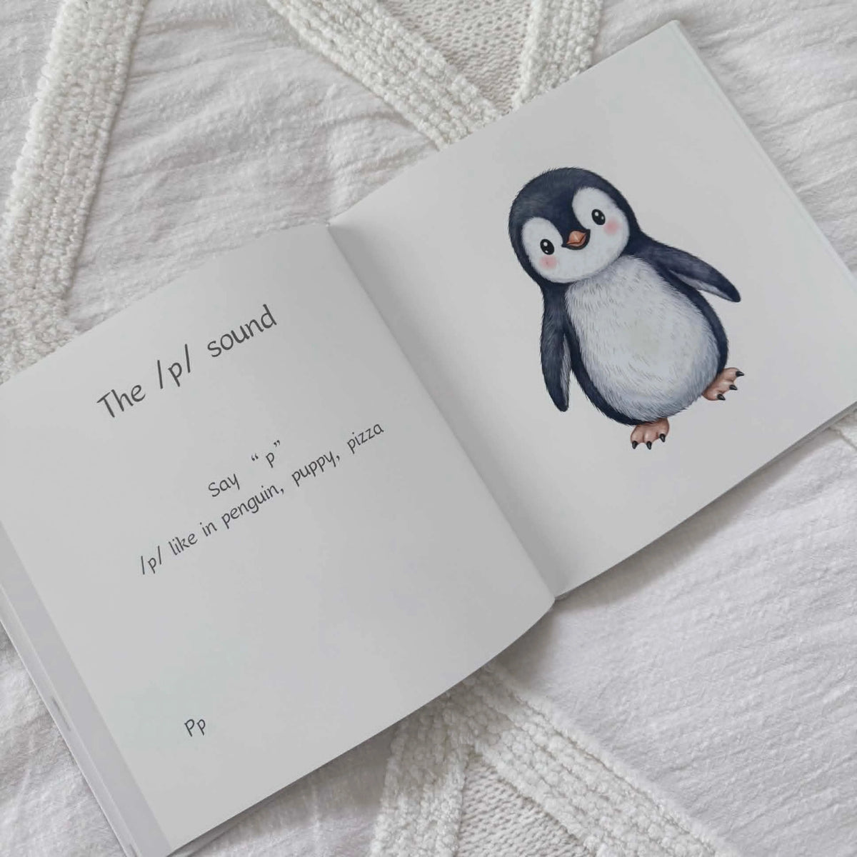 Little Love Chapters My First Sounds Book Boy
