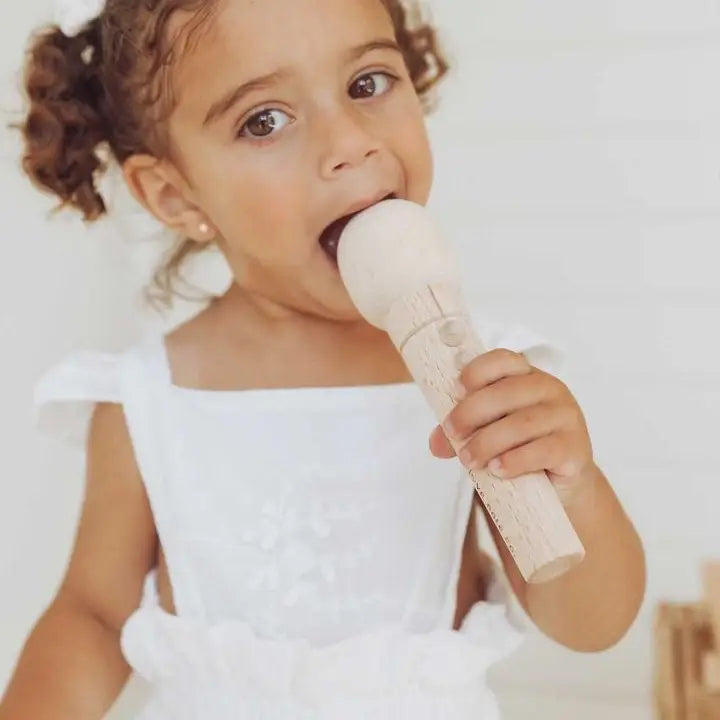 Love Note Co Little Singer Microphone