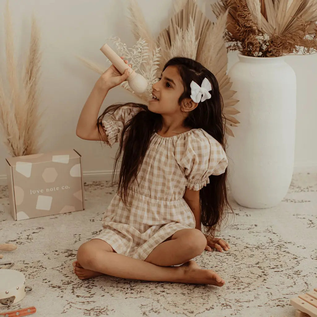 Love Note Co Little Singer Microphone