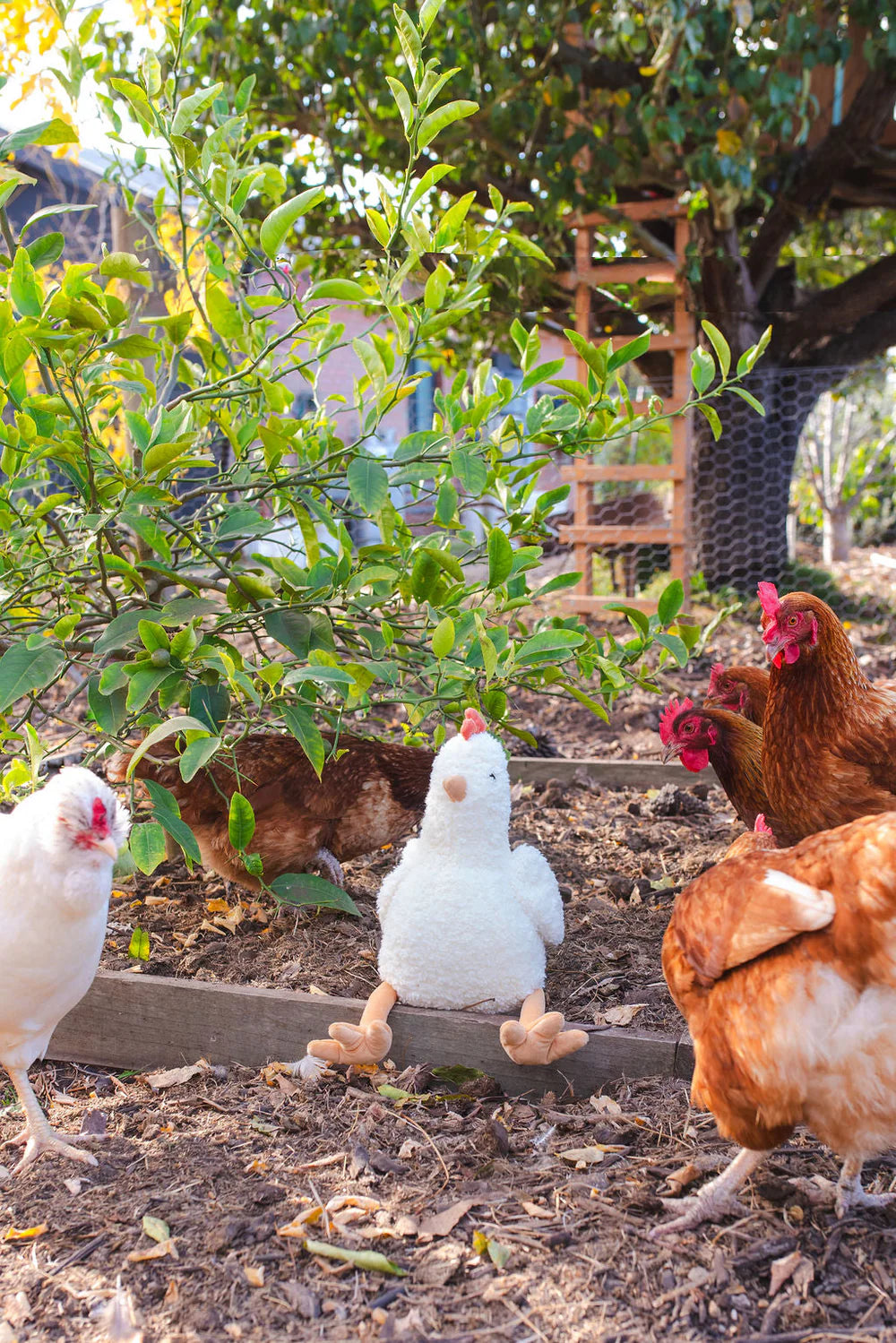 Nana Huchy Henrietta the Hen Rattle Cream