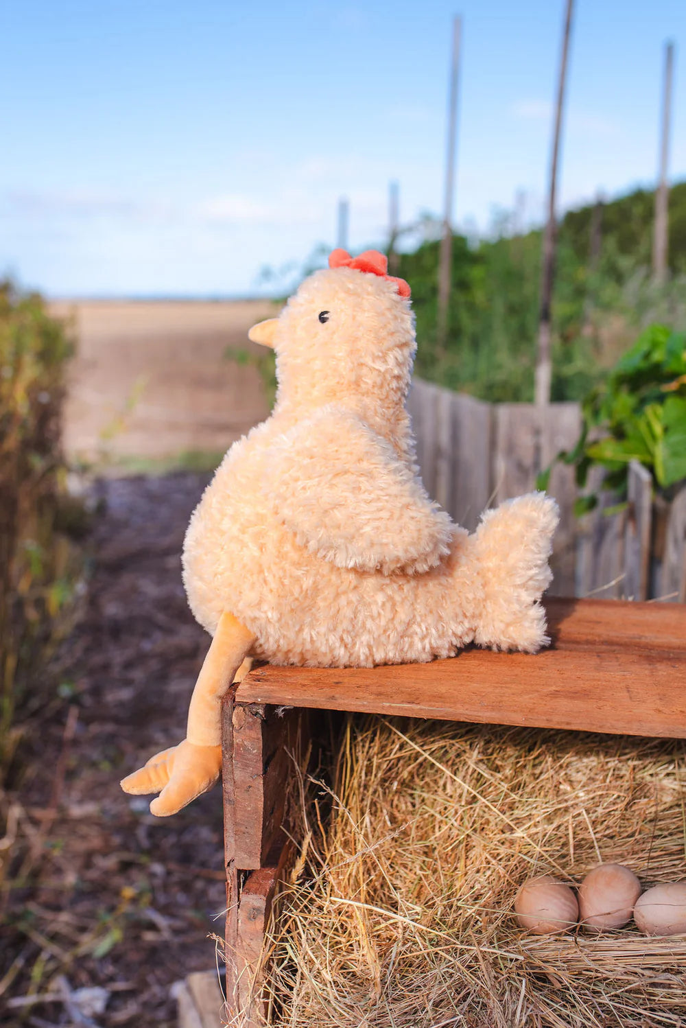 Nana Huchy Harriet the Hen Honey