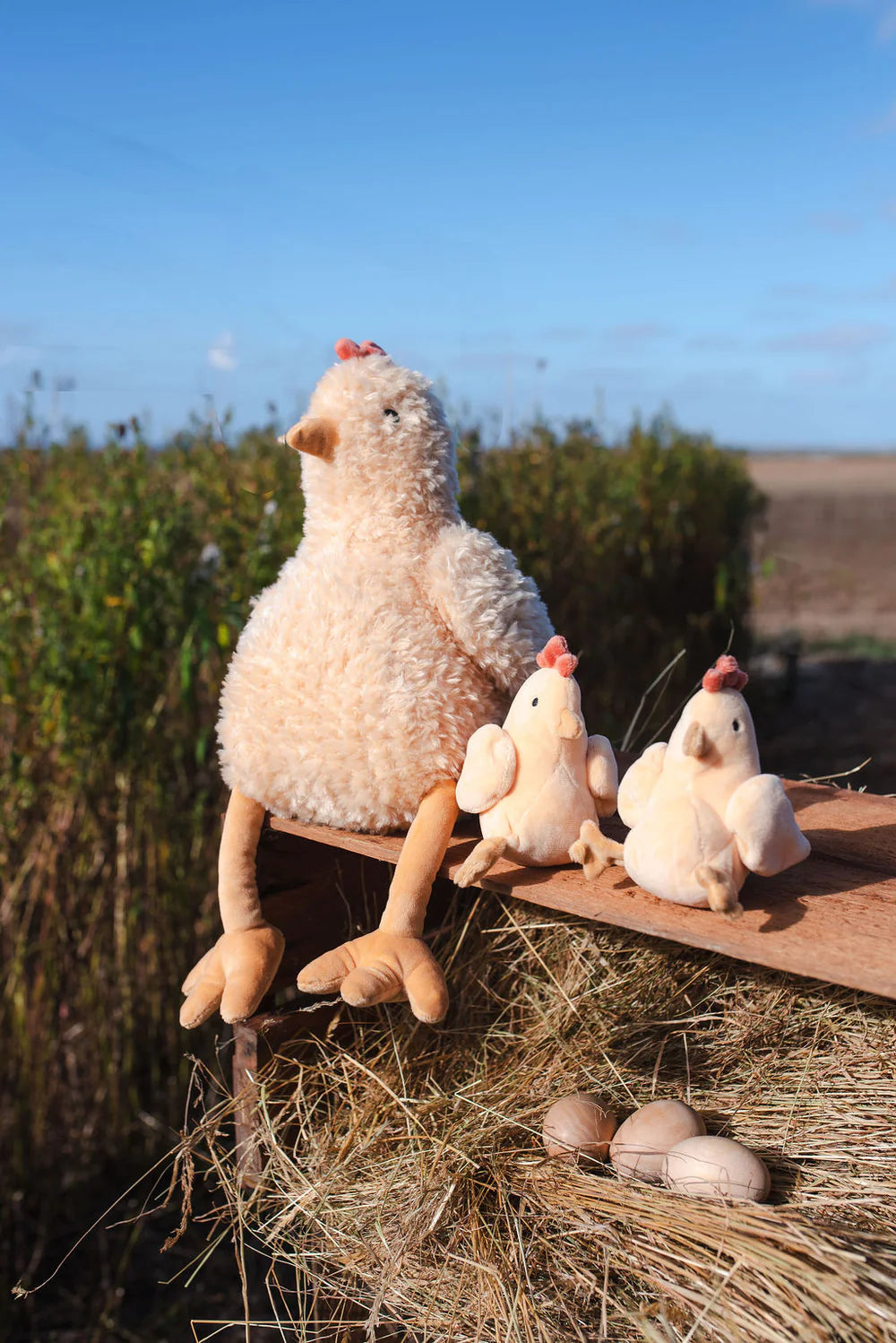 Nana Huchy Harriet the Hen Honey