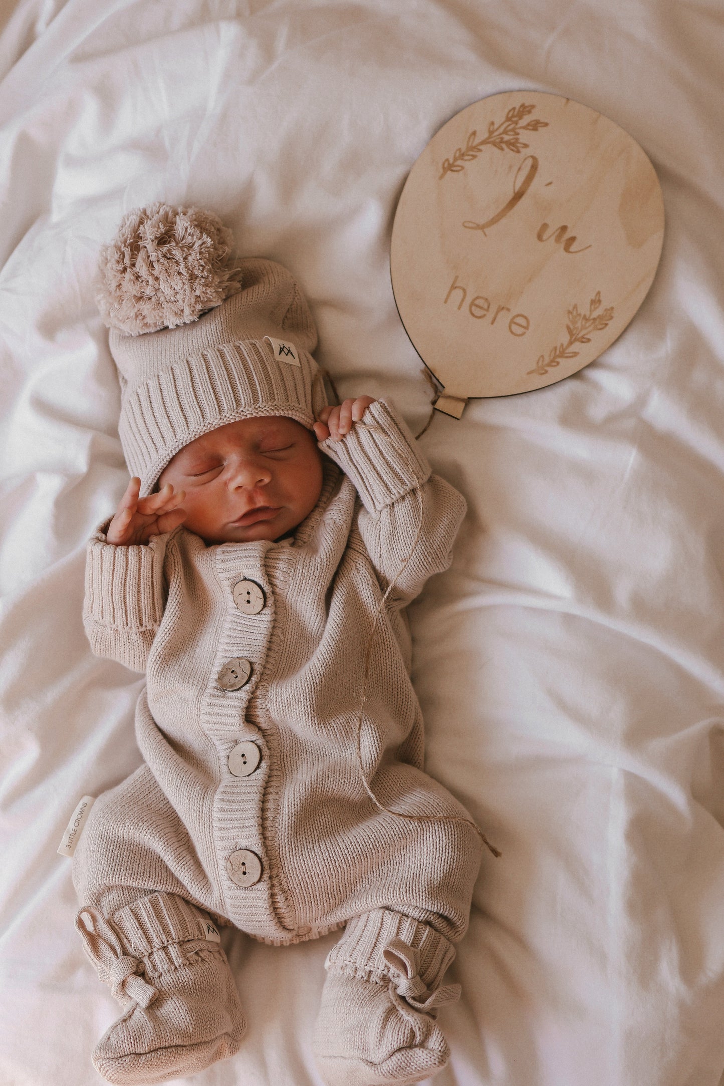 3 Little Crowns Textured Knit Beanie Mushroom