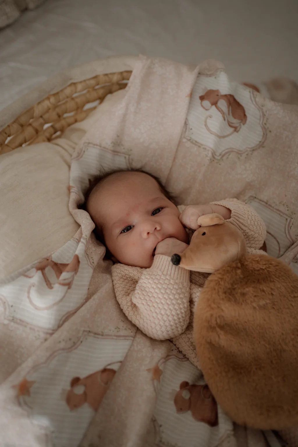 Pop Ya Tot Sweet Squeak Swaddle Wrap