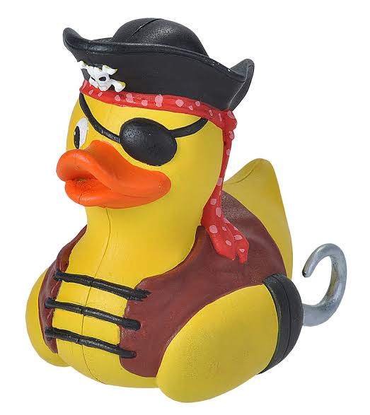 Wild Republic Rubber Duck – Various