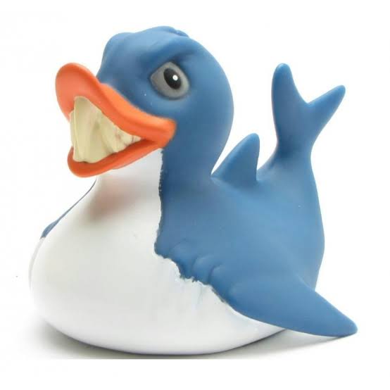 Wild Republic Rubber Duck – Various
