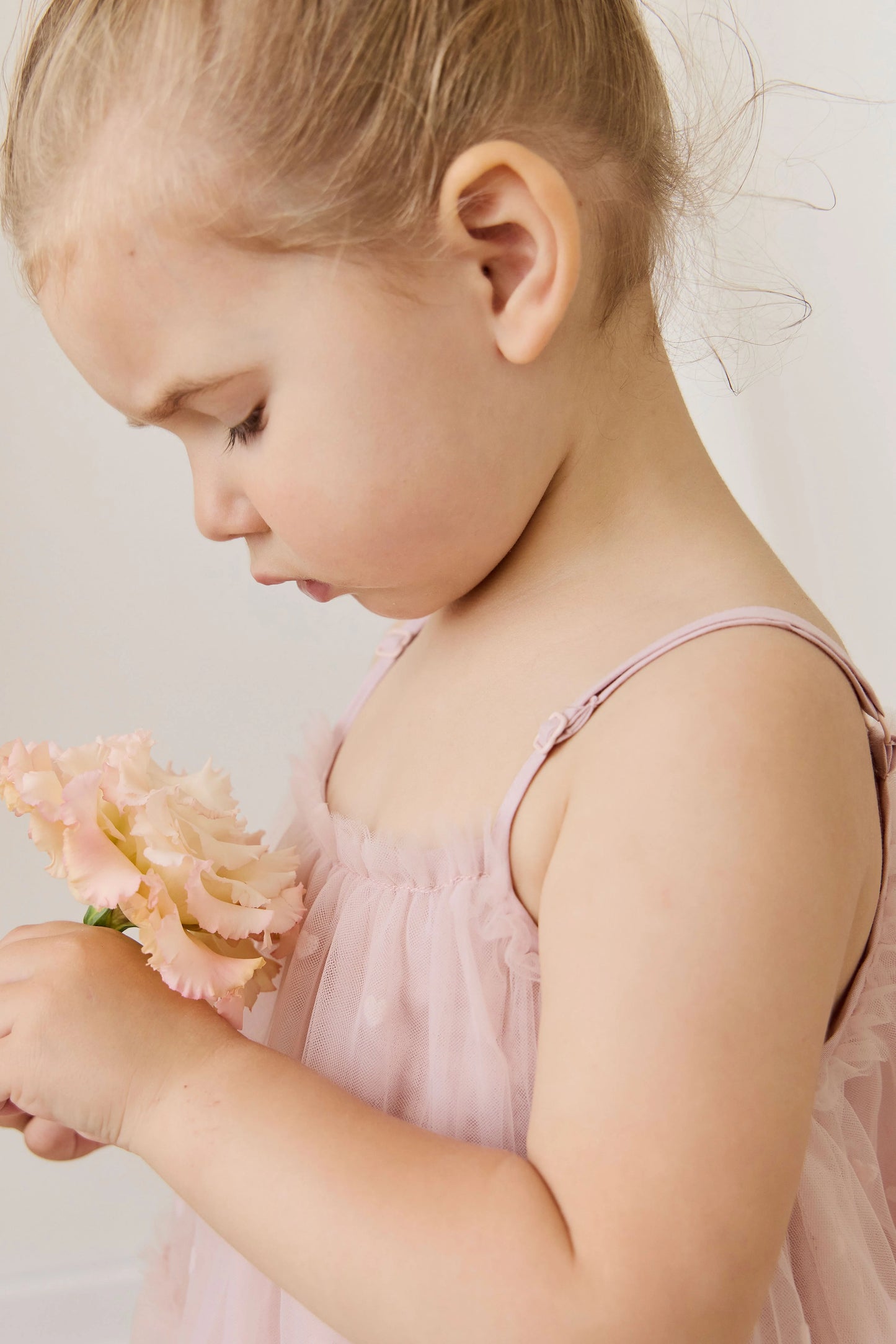 Jamie Kay Nylah Dress Old Rose