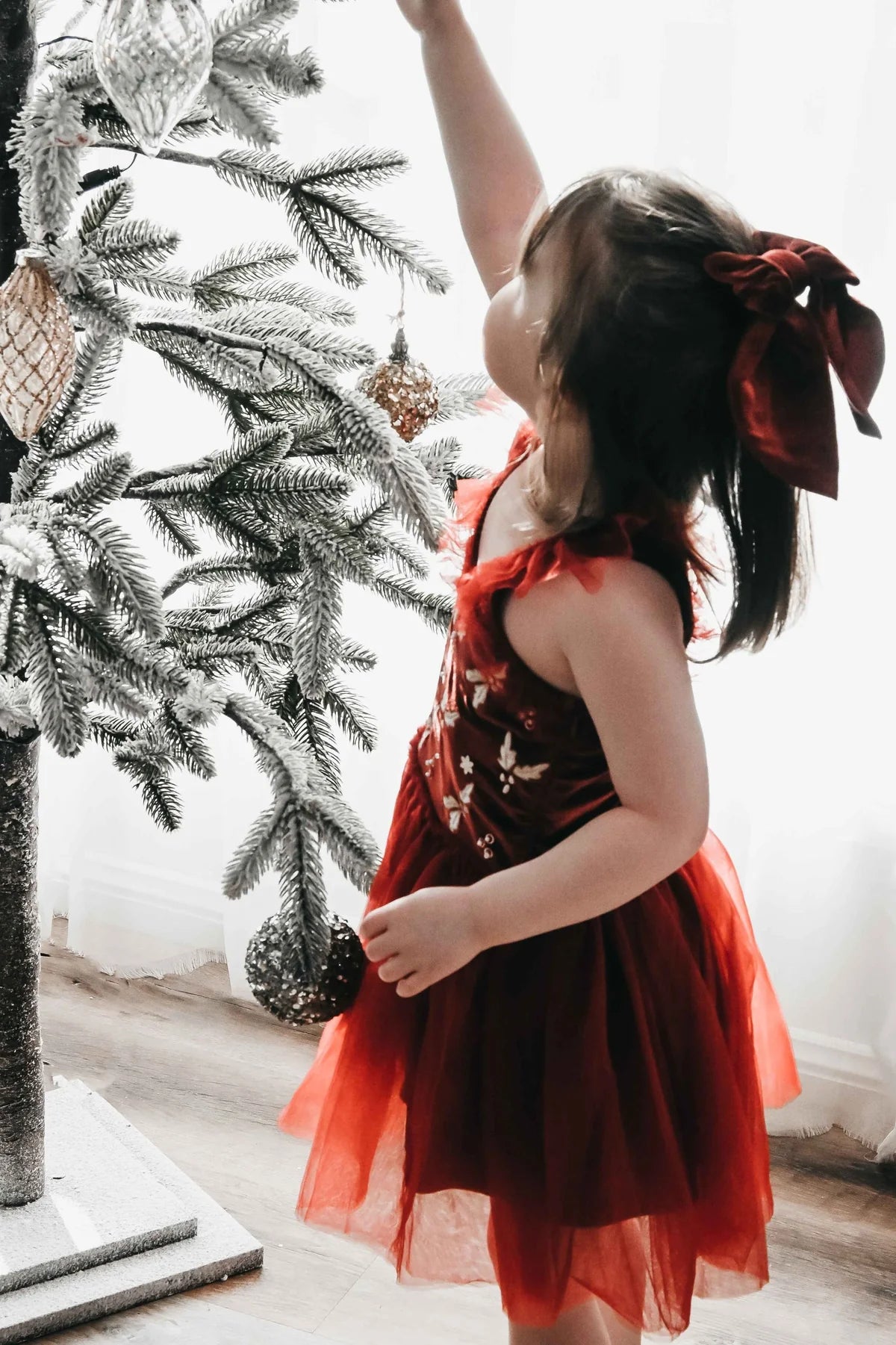 Bencer & Hazelnut Christmas Red Velvet Bodysuit Dress