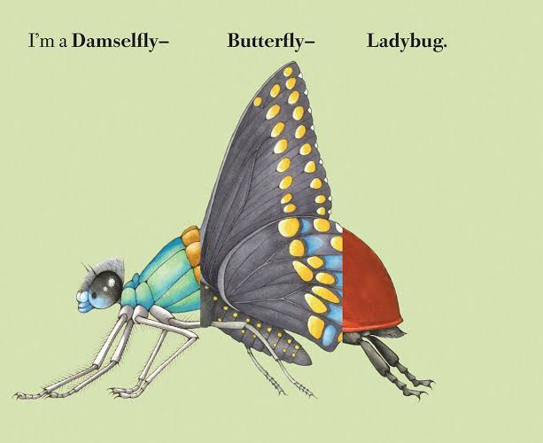 Build-A-Bug Flip & Flop Book