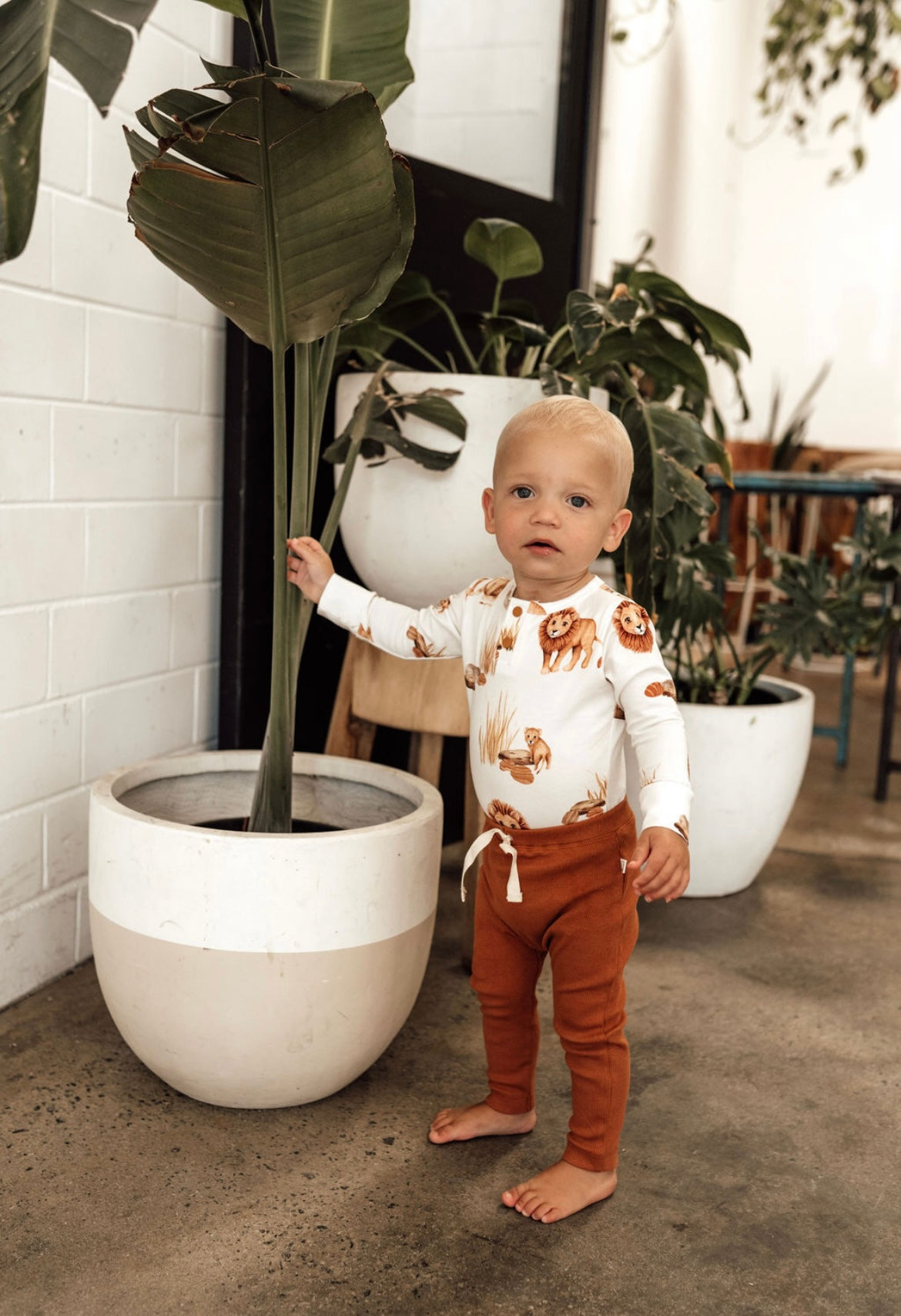 Snuggle Hunny Lion Long Sleeve Bodysuit