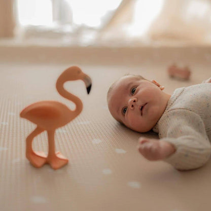 Lingo the Flamingo Teether