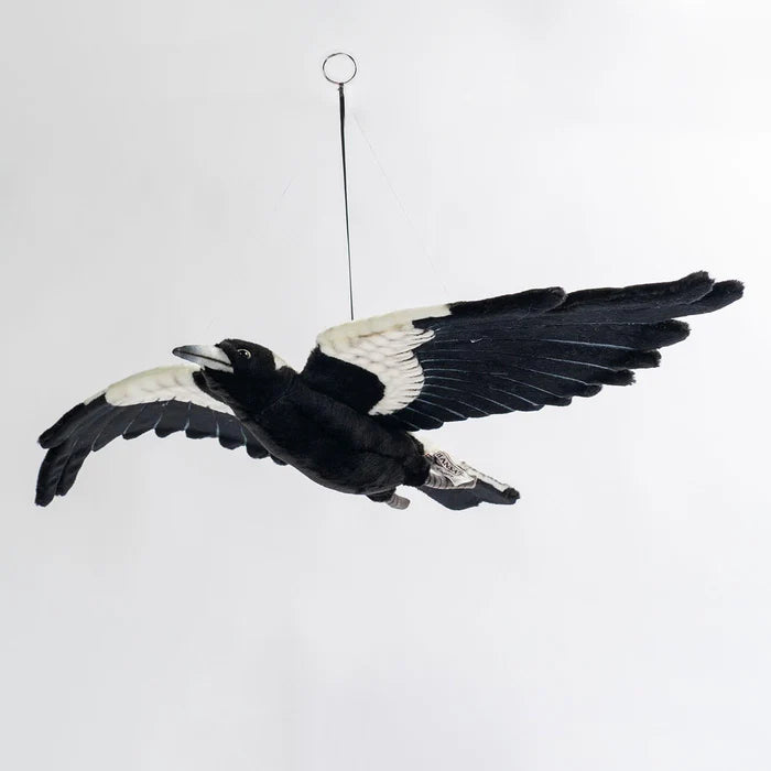 Hansa Flying Magpie