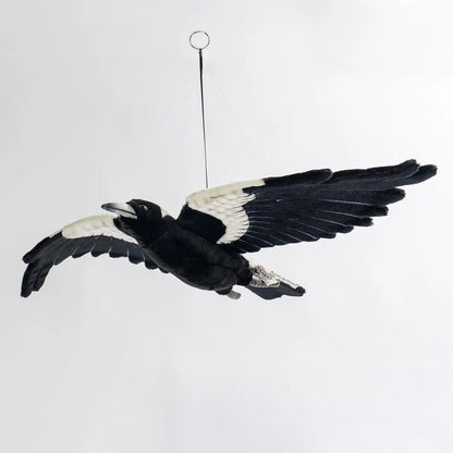 Hansa Flying Magpie