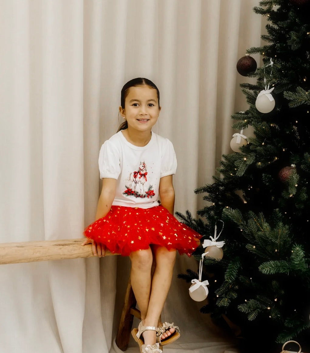 Confetti Kidz Classic Christmas Tulle Skirt Red Stars