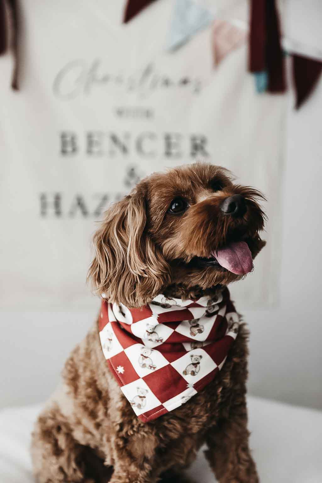 Bencer & Hazelnut Dog Bandana Peshal Diamond PREORDER