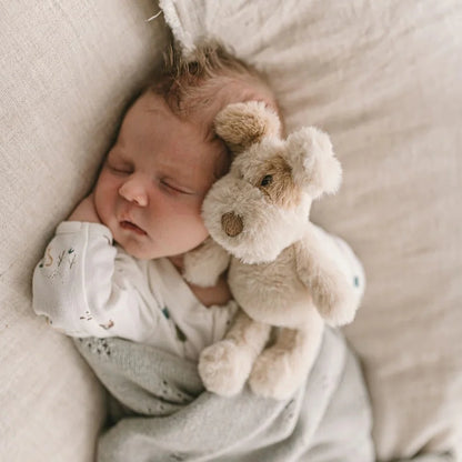 Nana Huchy Buddy the Dog Rattle