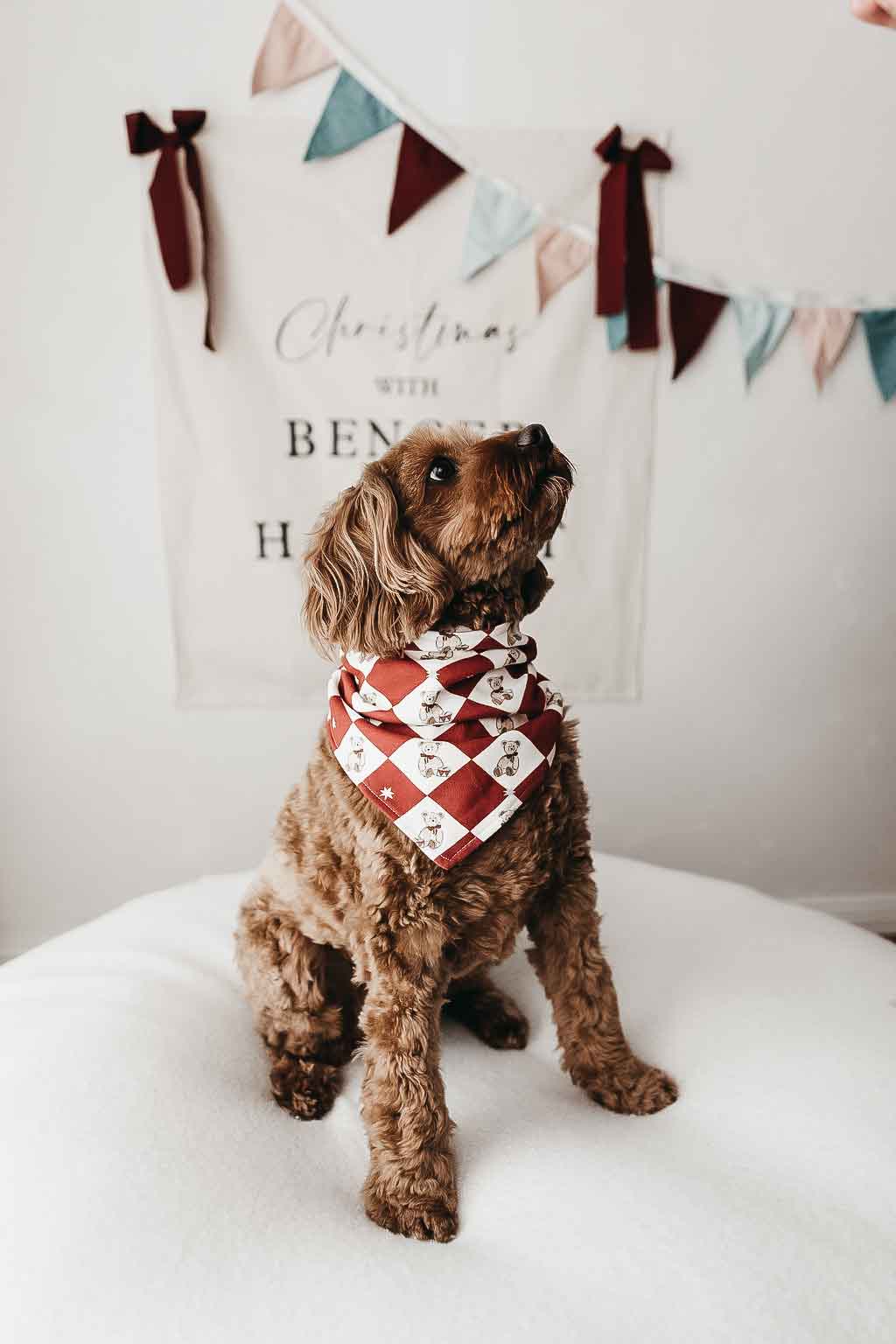 Bencer & Hazelnut Dog Bandana Peshal Diamond PREORDER