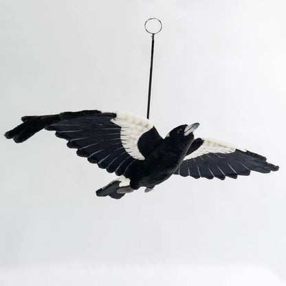 Hansa Flying Magpie