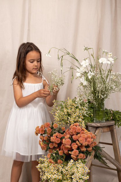 Alex & Ant Nina Tutu Dress White