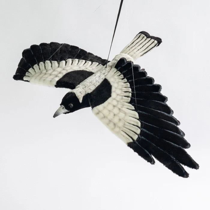 Hansa Flying Magpie