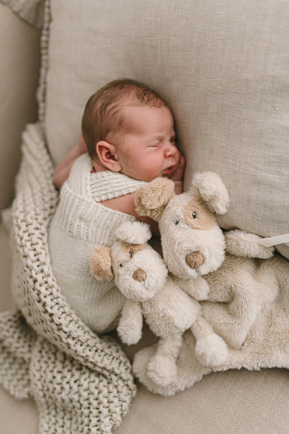 Nana Huchy Buddy the Dog Rattle