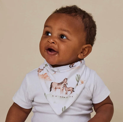 Snuggle Hunny Dribble Bib – Various