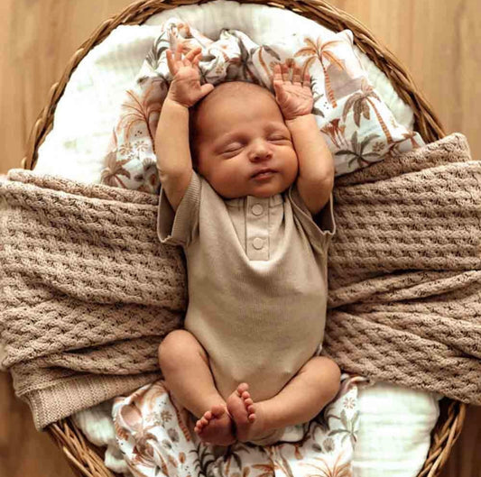 Snuggle Hunny Pebble Short Sleeve Bodysuit