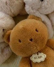 Bon Ton Toys Bobo Bear Brown