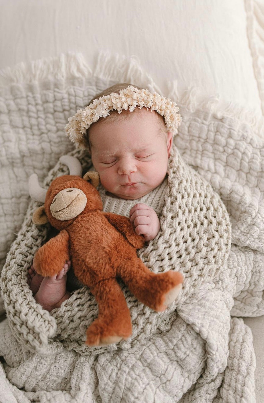 Nana Huchy Henry the Highland Cow Rattle