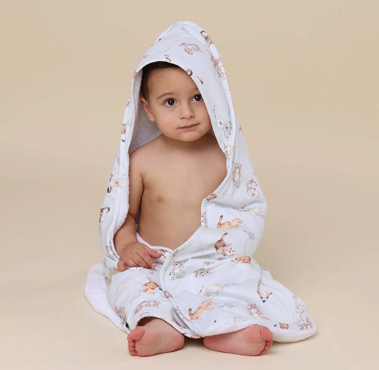 Snuggle Hunny Kittens Hooded Towel