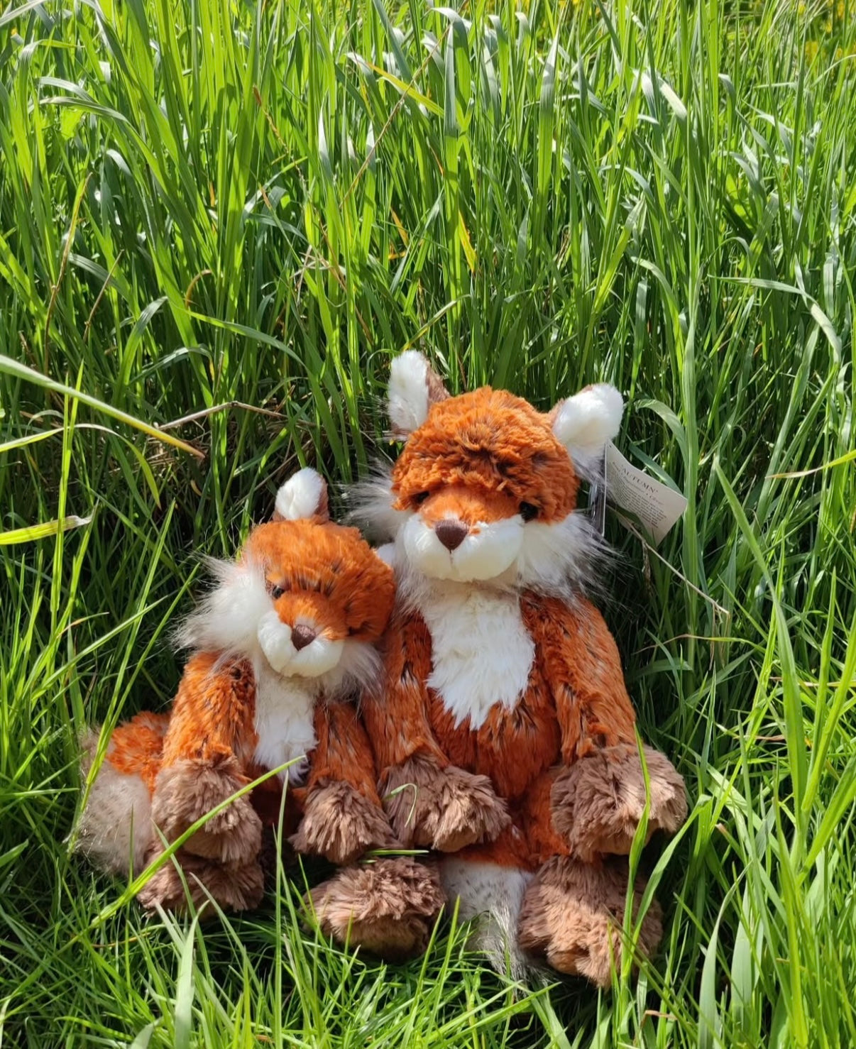 Wrendale Designs Autumn the Fox