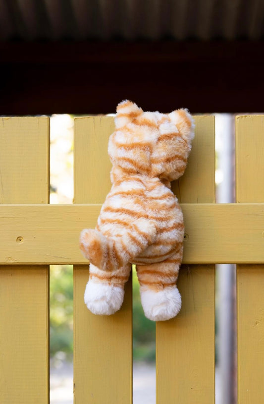 Nana Huchy Ginger the Kitten