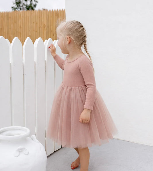 Confetti Kidz Dusty Pink Long Sleeve Tulle Dress