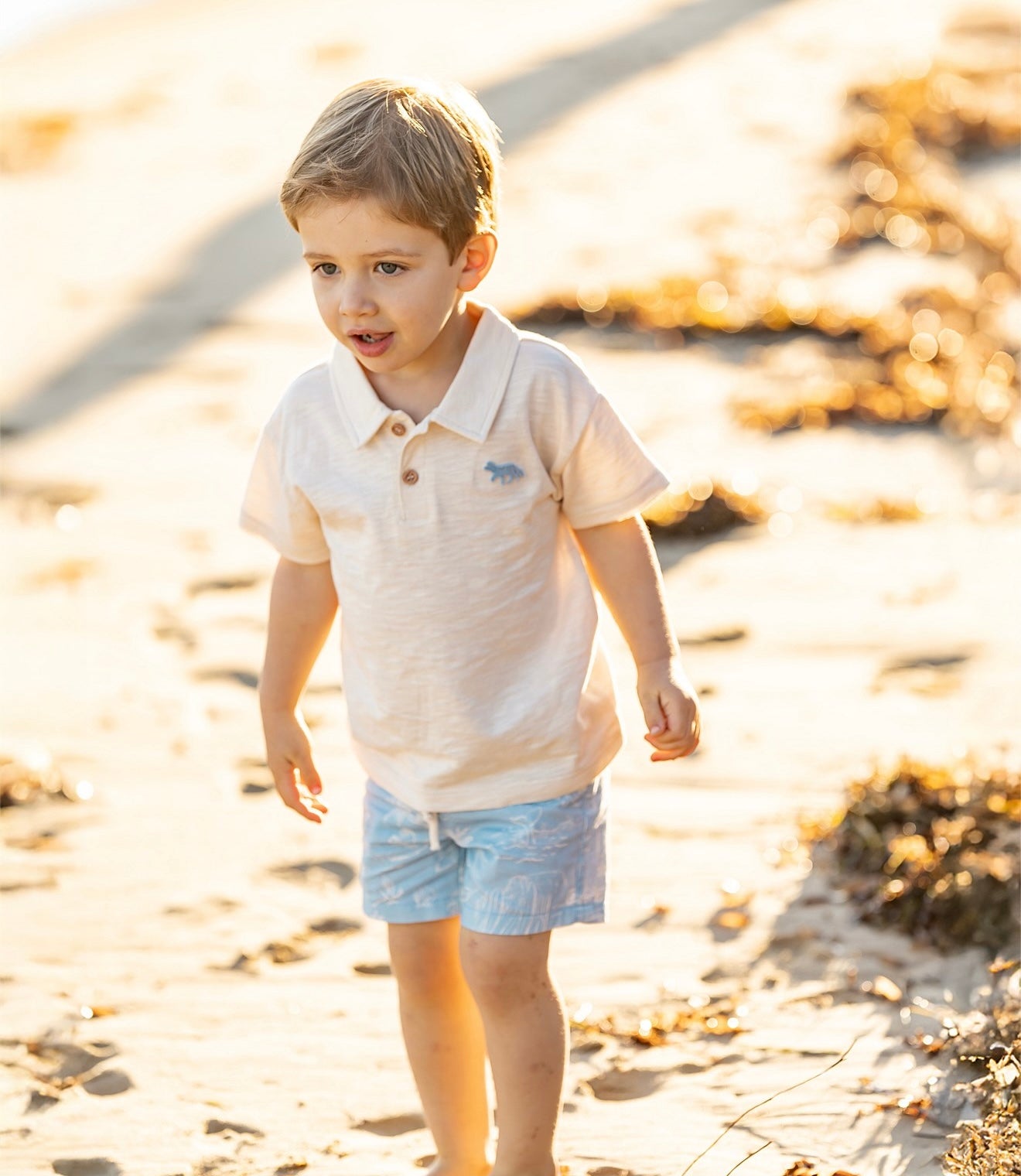 Fox & Finch Surfs Up Linework Shorts