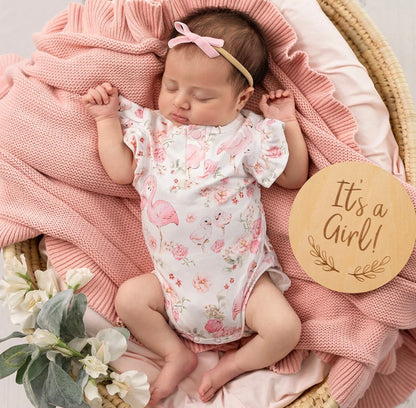 Snuggle Hunny Flamingos Short Sleeve Bodysuit
