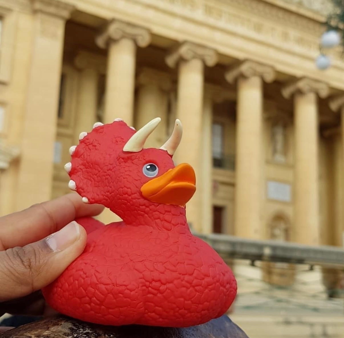 Wild Republic Rubber Duck – Various