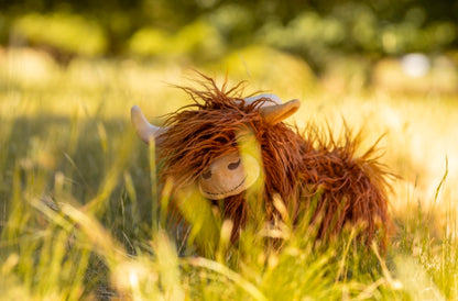 Nana Huchy Heidi the Highland Cow