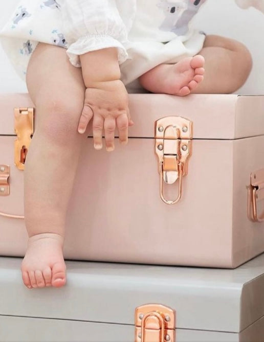 BabyBoo Prints Large Metal Storage Trunk Pink with Rose Gold Hardware