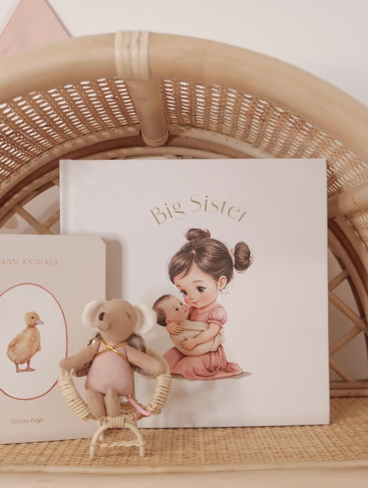 Little Love Chapters Big Sister Book