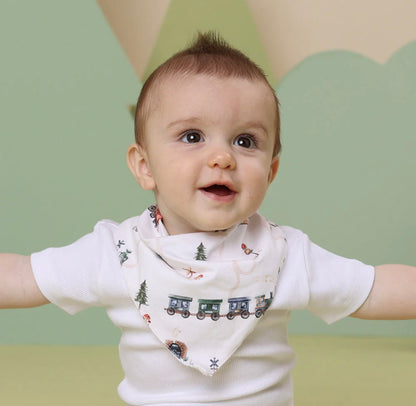 Snuggle Hunny Dribble Bibs – Various Designs
