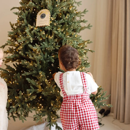 Blossom & Pear Red Gingham Shortalls PRE-ORDER