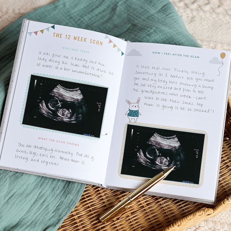 Bump To Birthday Pregnancy Journal